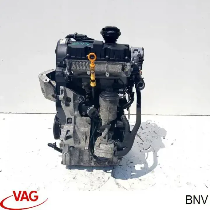 BNV VAG Мотор в зборі