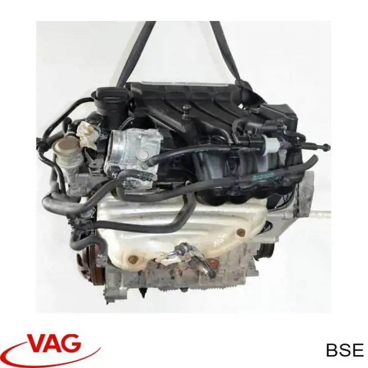 BSE VAG Мотор в зборі