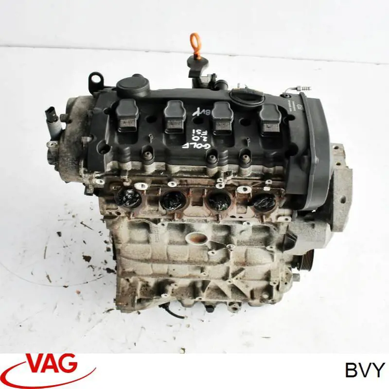 Двигун BVY VAG