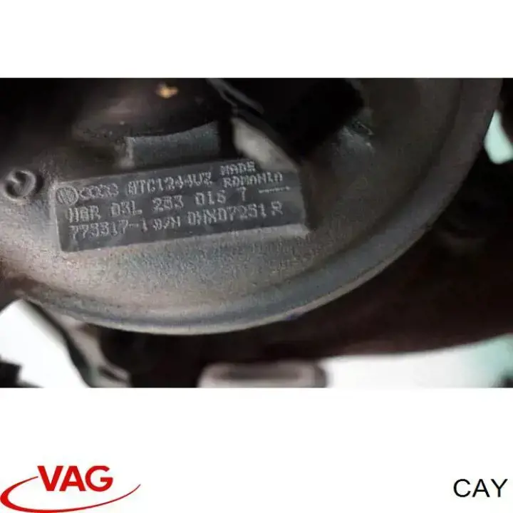 Двигун CAY VAG