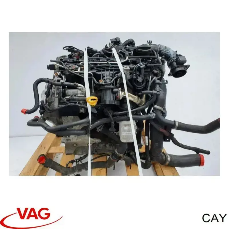 Двигун у зборі Volkswagen Caddy 3 (2KB) (Фольцваген Кадді)