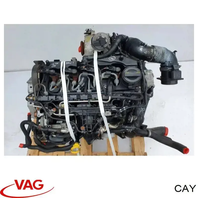 CAY VAG Мотор в зборі