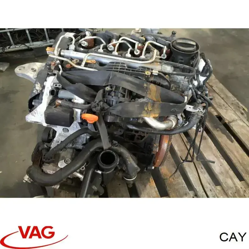 Купити CAY VAG Двигун