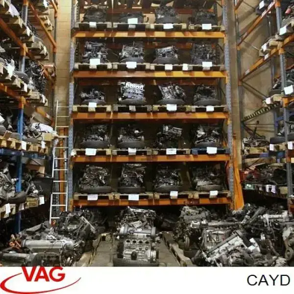 Купити CAYD VAG Двигун