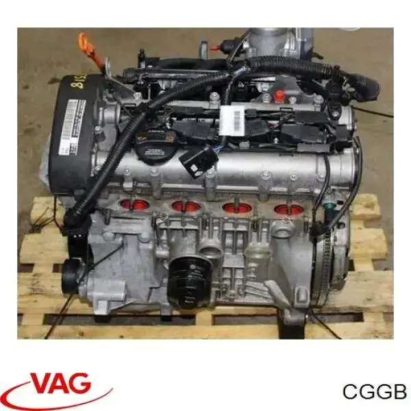 CGGB VAG Мотор в зборі