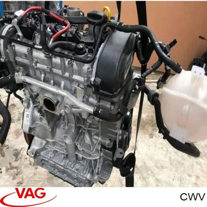  CWV VAG