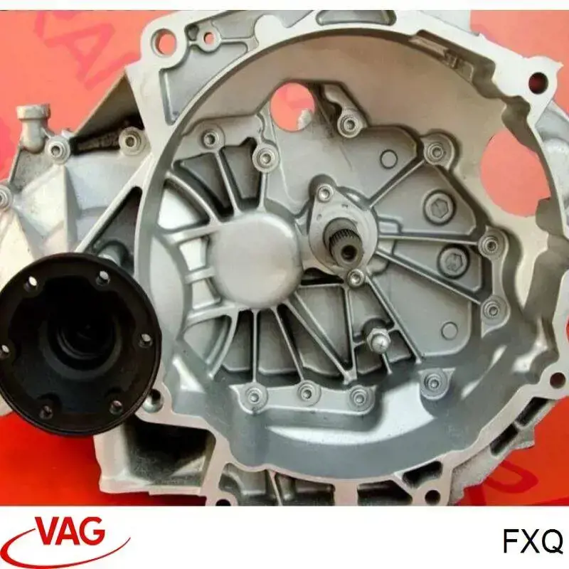 FXQ VAG 