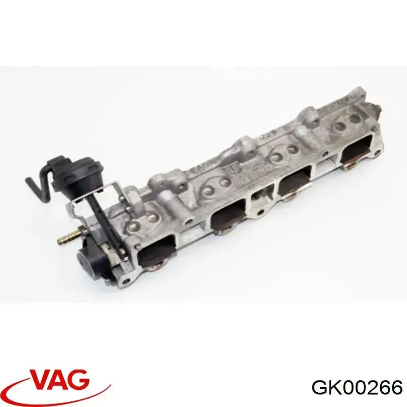 GK00266 VAG 