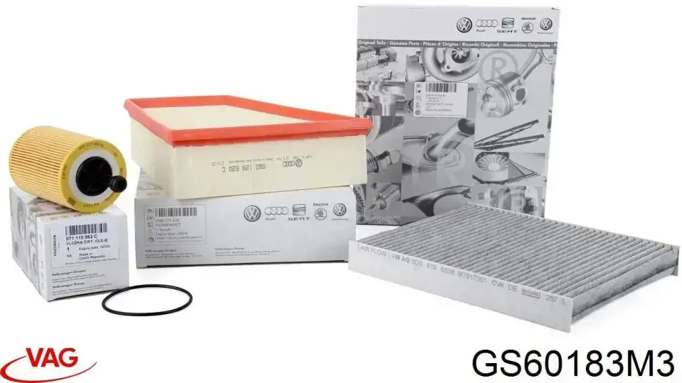 GS60183M3 VAG Масло двигуна