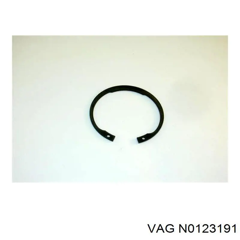  N0123191 VAG