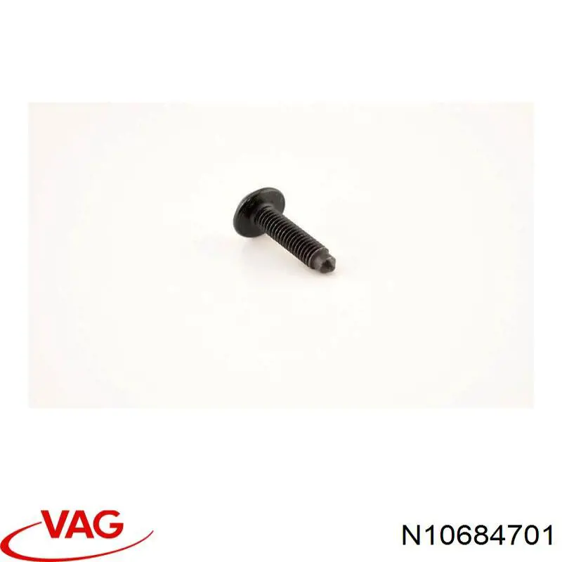  N10684701 VAG