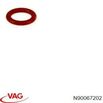  N90067202 VAG