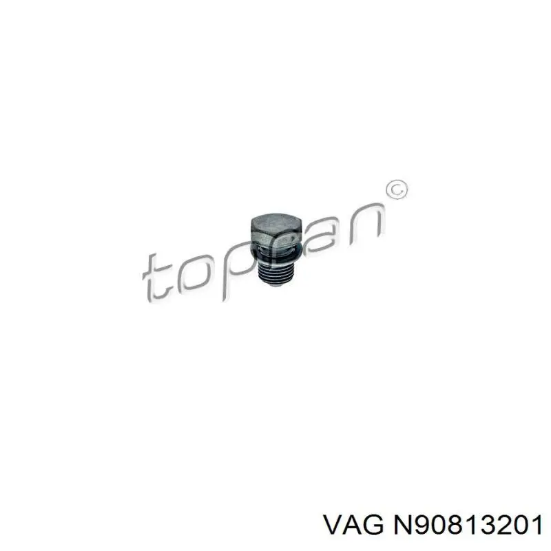 Купити N90813201 VAG Пробка піддона двигуна