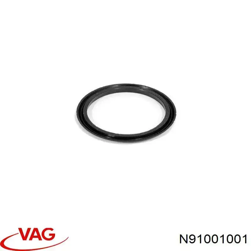  N91001001 VAG