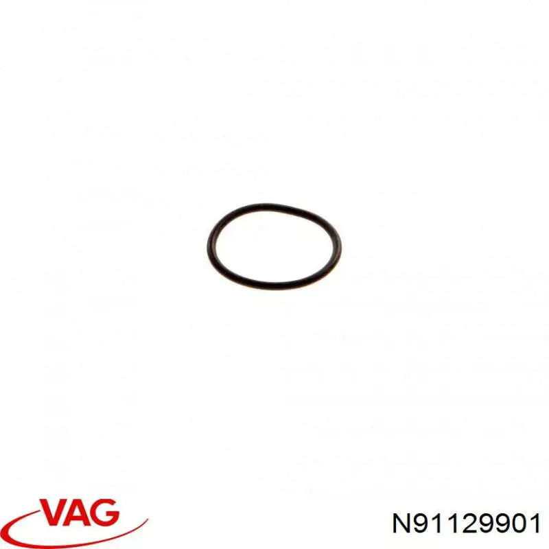  N91129901 VAG