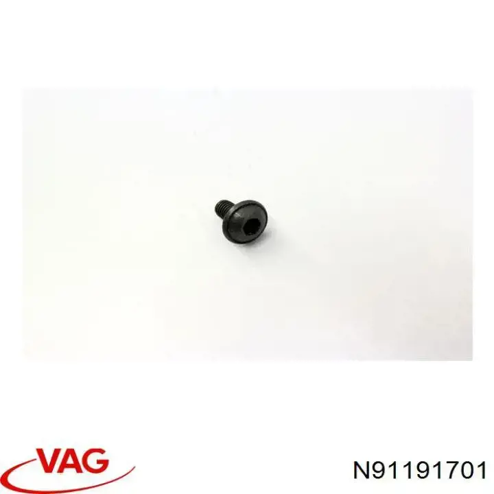  N91191701 VAG