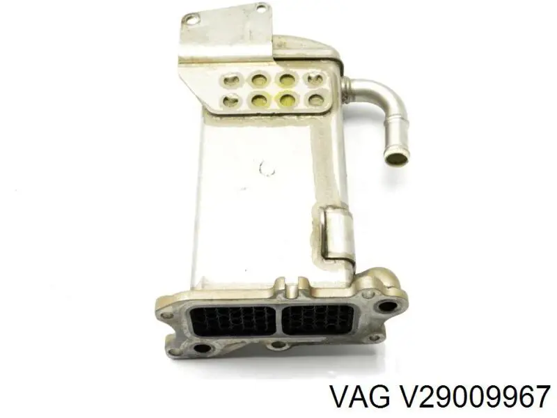  V29009967 VAG