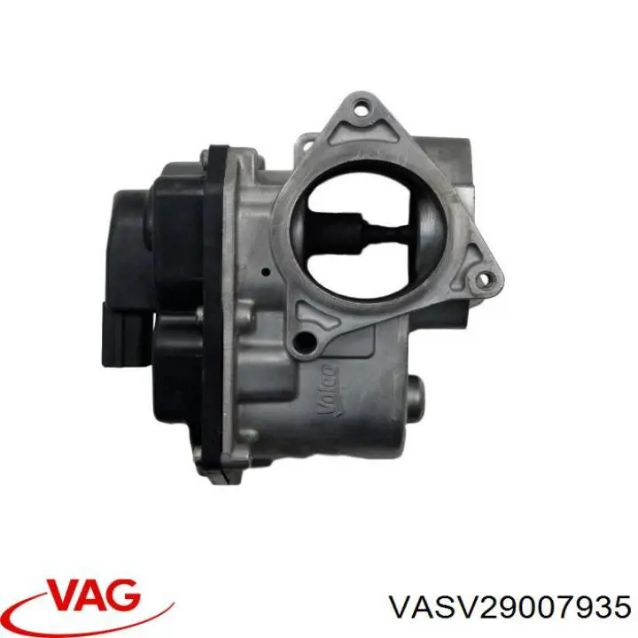 VASV29007935 VAG 