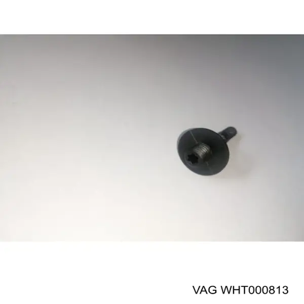  WHT000813 VAG