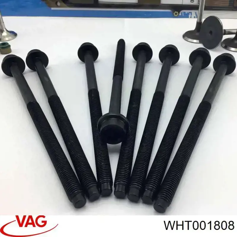 Купити WHT001808 VAG Болт гбц