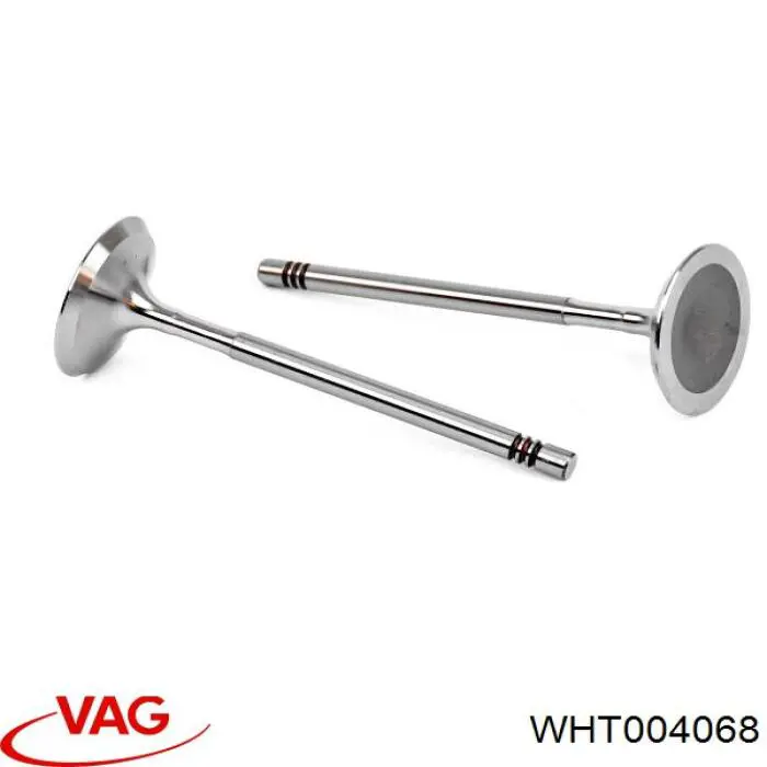  WHT004068 VAG
