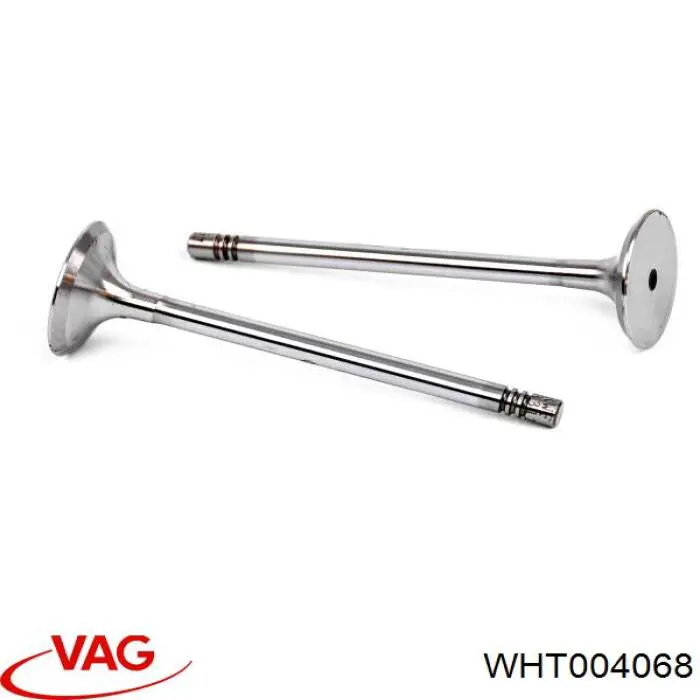 WHT004068 VAG 