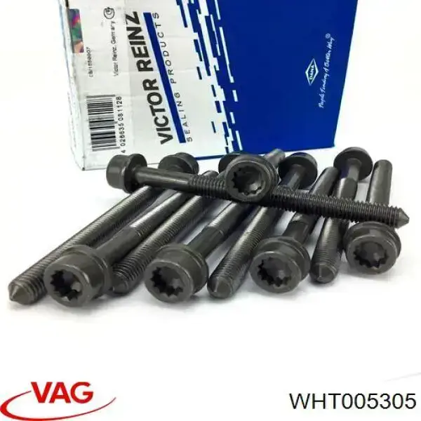 Болт головки блока циліндрів VAG WHT005305