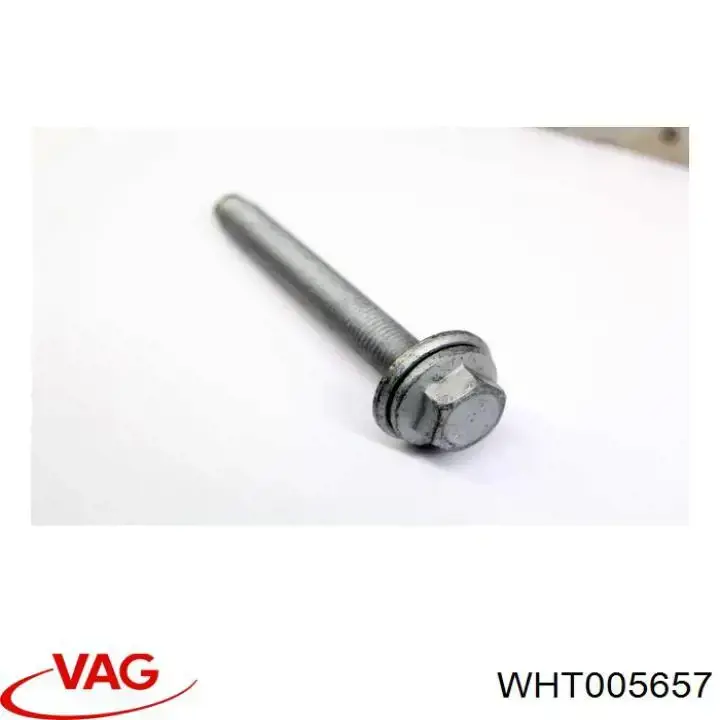  WHT005657 VAG