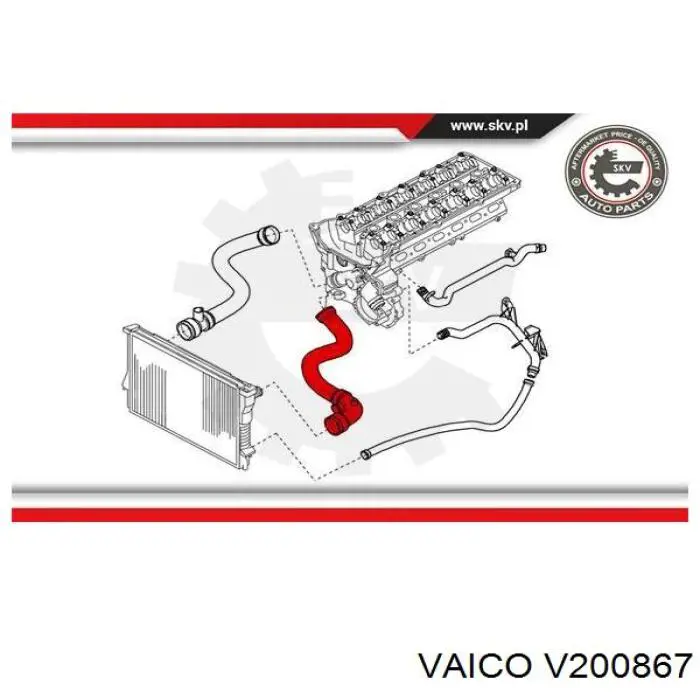 V200867 VEMO/Vaico шланг/патрубок радіатора охолодження, верхній