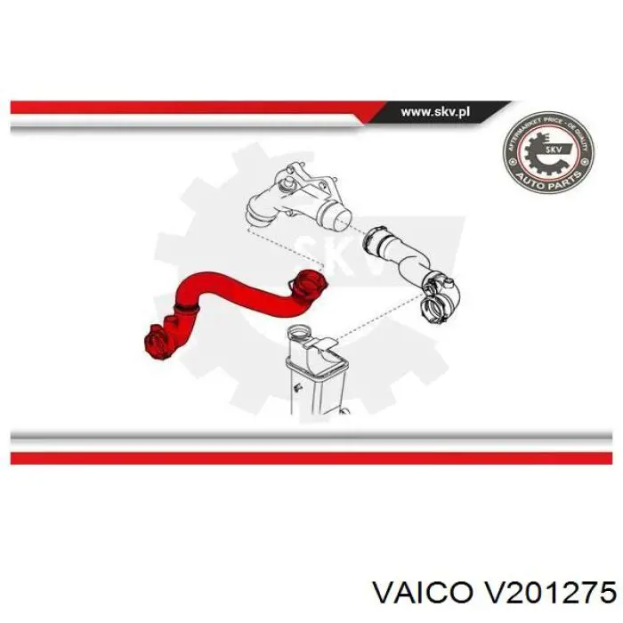 Шланг/патрубок радіатора охолодження, нижній V201275 VEMO/Vaico