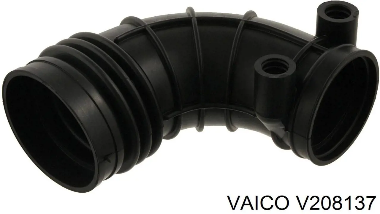 Головний патрубок витратоміра повітря (черепаха) V208137 VAICO