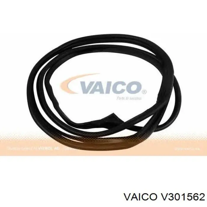  V301562 VEMO/Vaico