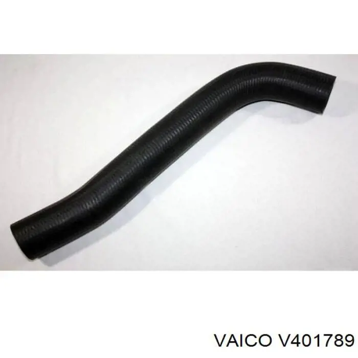 Купити V401789 VEMO/Vaico Патрубок бака, до заливної горловини