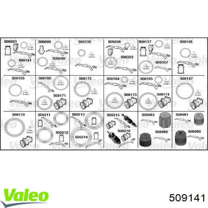  509141 VALEO