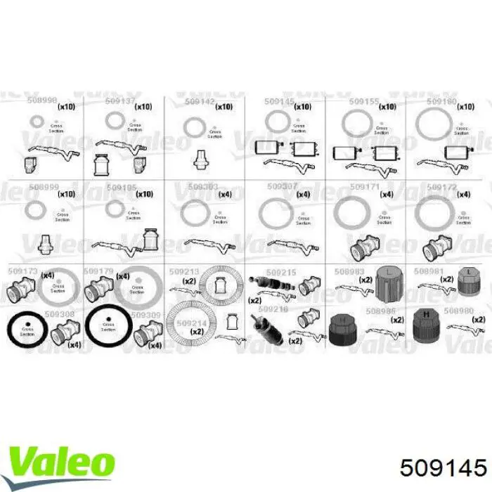  509145 VALEO