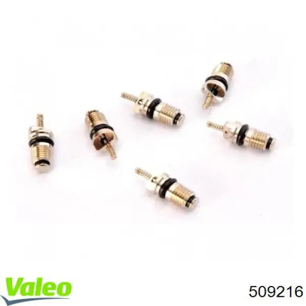 Клапан заправки кондиціонера VALEO 509216 ціна, від 4.48 USD