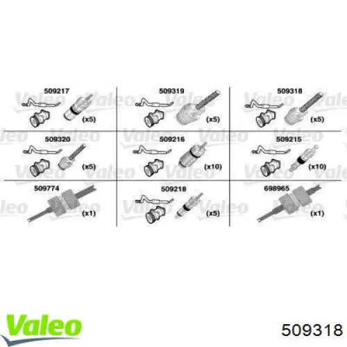 509318 VALEO Клапан заправки кондиціонера