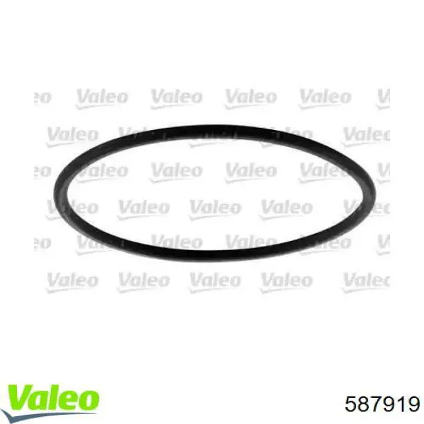 Фільтр паливний VALEO 587919