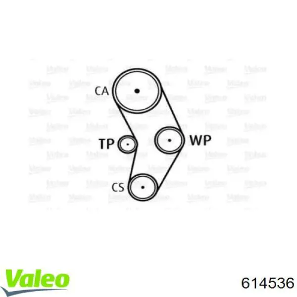 8660005806 Renault (RVI) Ремінь ГРМ, комплект