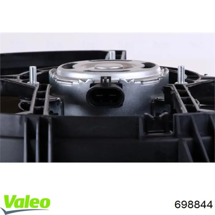 Купити 698844 VALEO Електровентилятор охолодження в зборі (двигун + крильчатка)