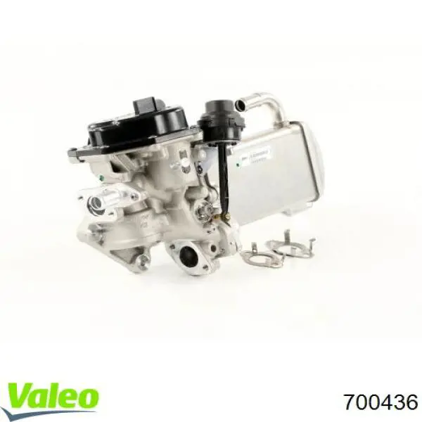 Радіатор системи EGR рециркуляції вихлопних газів VALEO 700436 ціна, від 158.91 USD
