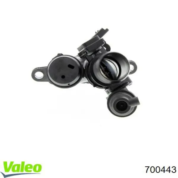 Блок дросельної заслінки VALEO 700443 ціна, від 207.09 USD