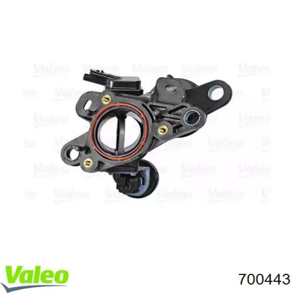 700443 VALEO Дросільна заслінка в зборі