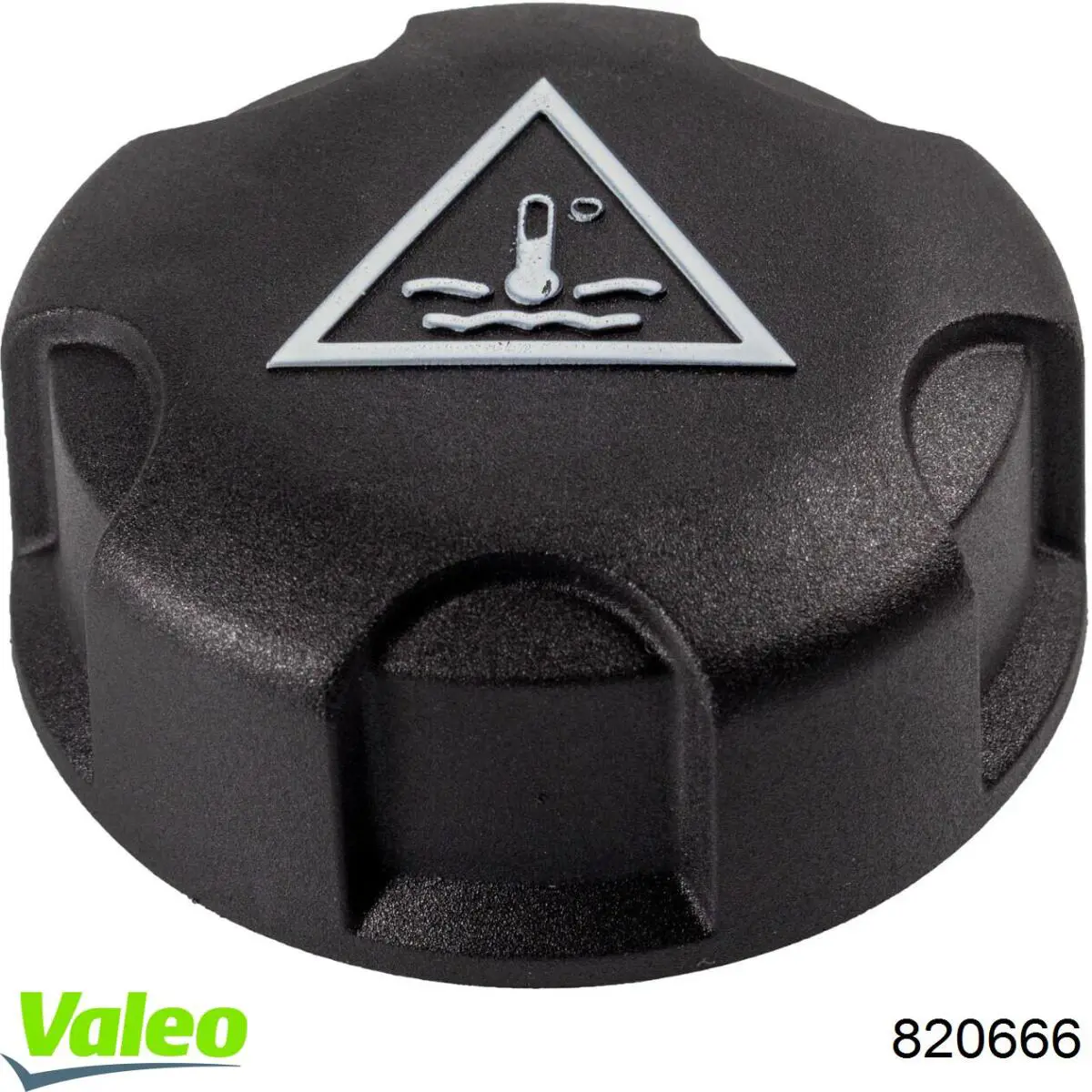  820666 VALEO