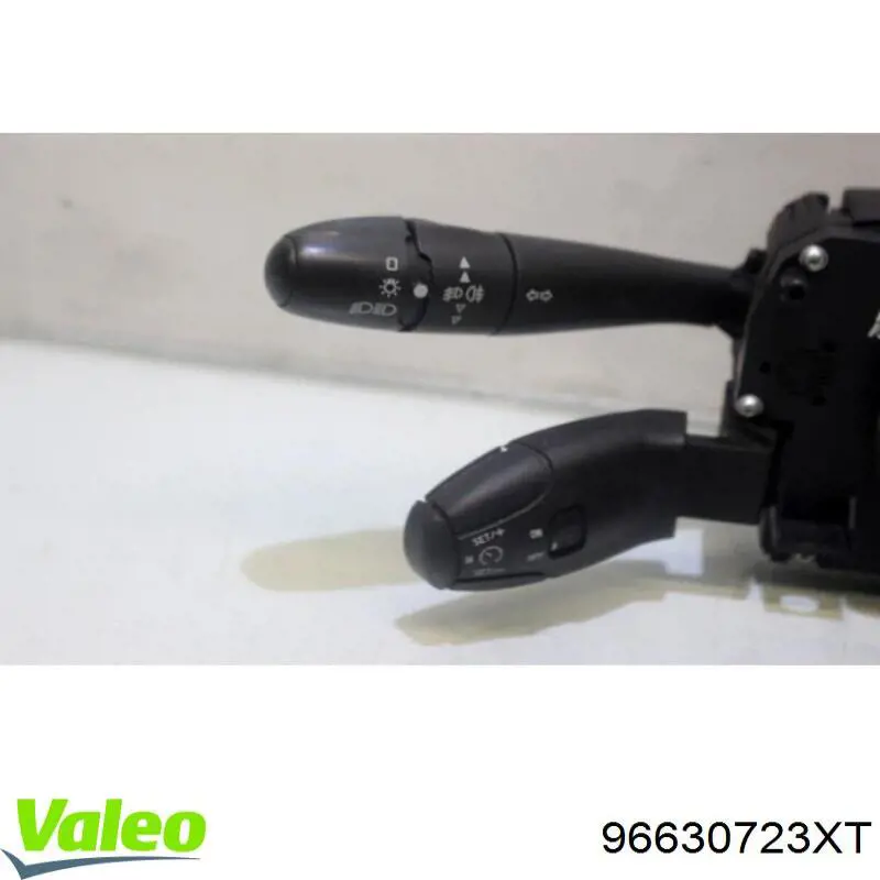  96630723XT Peugeot/Citroen