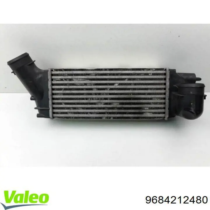 Купити 351319204920 Magneti Marelli Радіатор интеркуллера