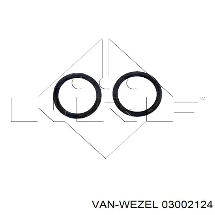 Купити 03002124 VAN Wezel Радіатор двигуна