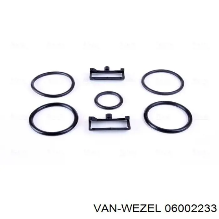 Купити 06002233 VAN Wezel Радіатор двигуна