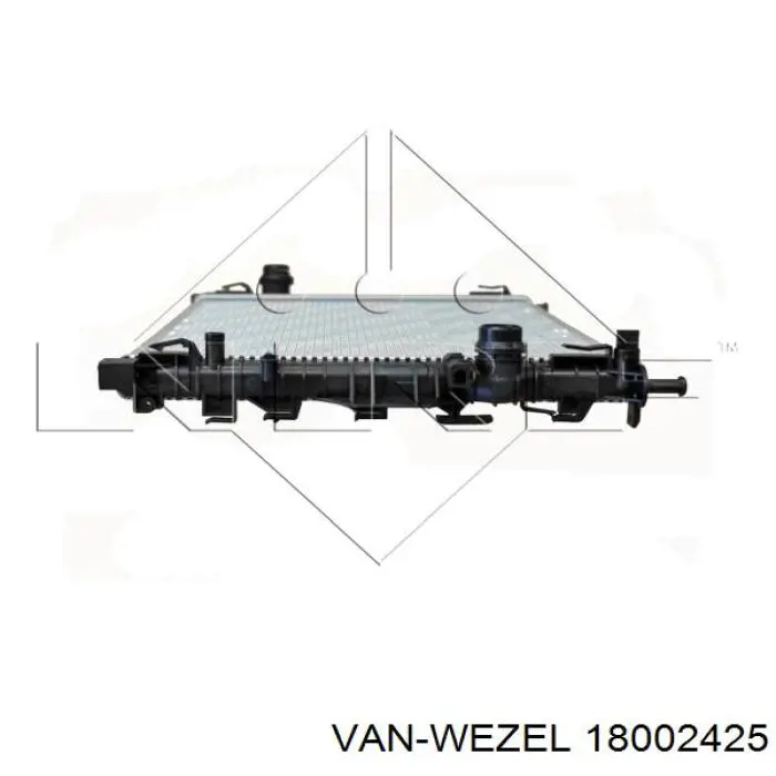 Купити 18002425 VAN Wezel Радіатор двигуна