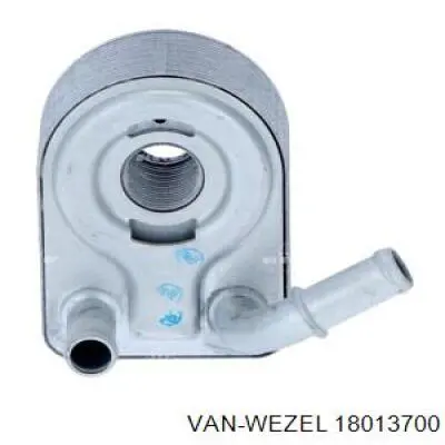 18013700 VAN Wezel радіатор масляний